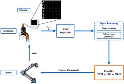 A Practical EEG-Based Human-Machine Interface to Online Control an Upper-Limb Assist Robot